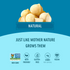 Flavored Macadamias - Unsalted Medium Bag Gallery Thumbnail Image