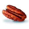 single pecan