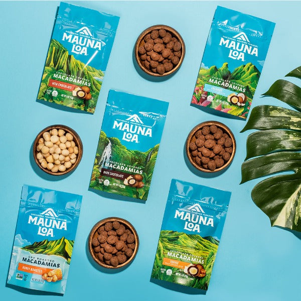 Chocolate Covered Macadamias - Dark Chocolate Medium Bag - Hawaiian Host X Mauna Loa Gallery Fullscreen Image