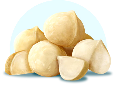 Macadamia nuts
