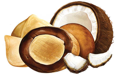 Chocolate Covered Macadamias - Milk Chocolate Coconut Large Bag Product Image