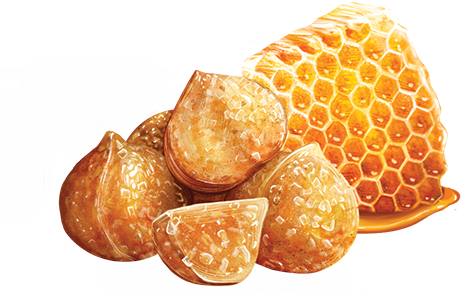 Flavored Macadamias - Honey Roasted Medium Bag Product Image